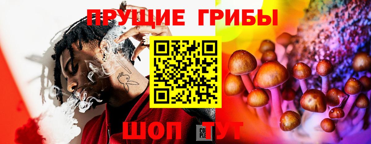 Псилоцибиновые грибы прущие грибы  Псилоцибиновые грибы Psilocybine cubensis  Дзержинский  Вход с VPN 